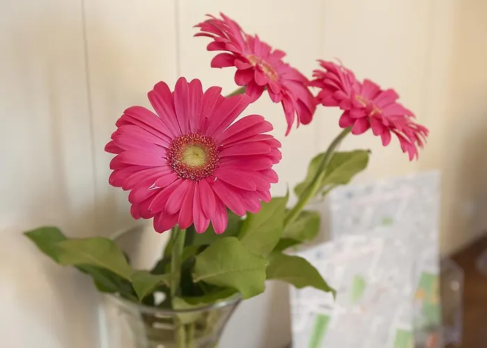 Отель Gardenia 2*